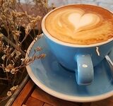 馬喰横山駅カフェめぐり♡下町の隠れ家で過ごす癒しのひととき