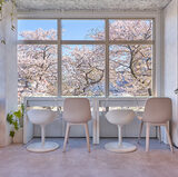 国立駅カフェめぐりで見つけた癒しの空間たち