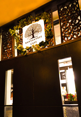 バニヤンツリーカフェ 有明テニスの森駅カフェ