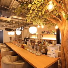 muse ミューズ 下北沢店 東北沢駅カフェ