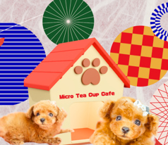 マイクロ ティーカップ カフェ 浅草店 浅草駅 カフェ