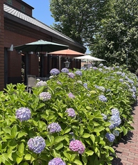 GIROLOMONI cafe di ape ジロロモーニカフェ ディ アーペ 白金高輪駅カフェ