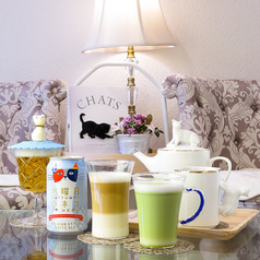 保護猫カフェ CAT LIVING キャットリビング 都立大学駅カフェ