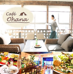 カフェ オハナ Cafe Ohana 銀座駅 カフェ